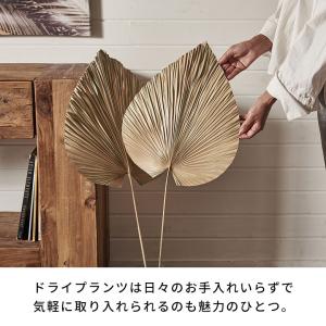 ドライフラワー ヤシ パームリーフ ヤシの葉 ...の詳細画像4