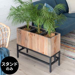 プランタースタンド 24.5×66.5×24.5 Sサイズ 5号用 3連型 トリプル  ボタニーク Botanique ブラック アイアン  屋内 ホテルインテリア 51209｜elements