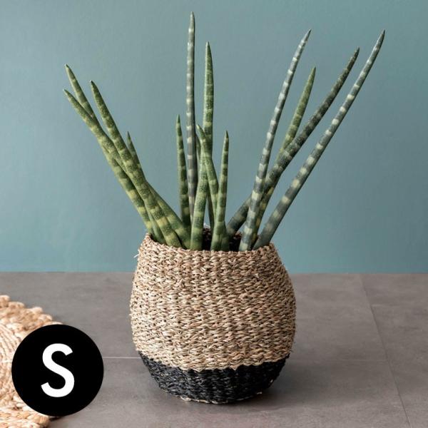 プランターカバー ゴミ箱 バスケット かご シーグラス Sサイズ ブラック 黒 収納バスケット 収納...