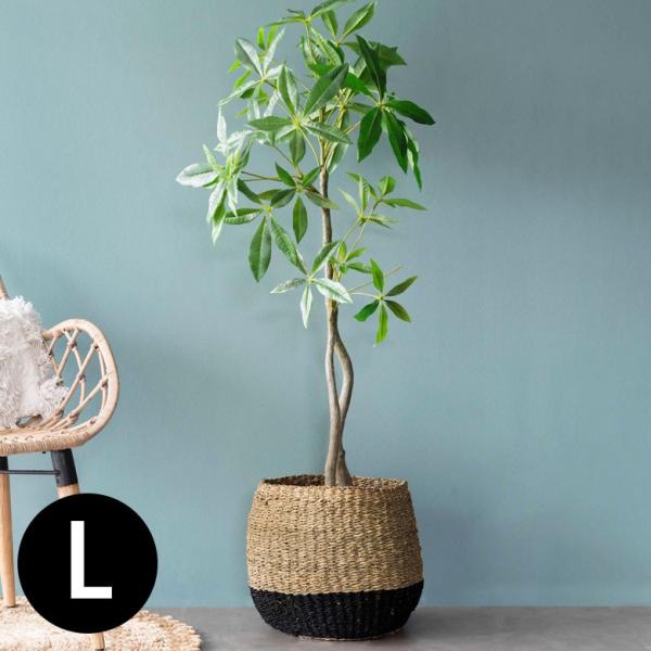 プランターカバー ゴミ箱 バスケット かご シーグラス Lサイズ ブラック 黒 収納バスケット 収納...