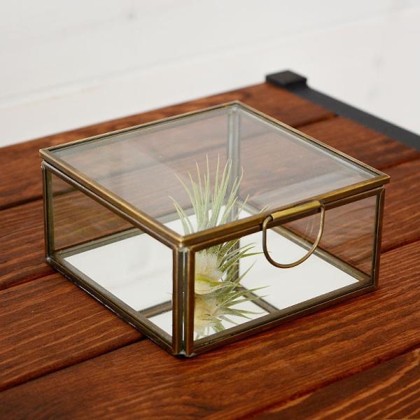 ガラスと真鍮でできた鏡付き収納ケース Sサイズ 63120