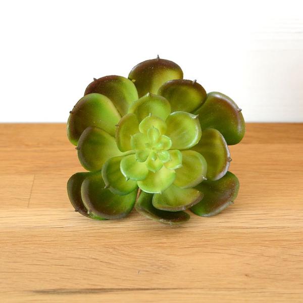 人工観葉植物 多肉植物 フェイクグリーン エケベリア Eタイプ 西海岸 男前 63440