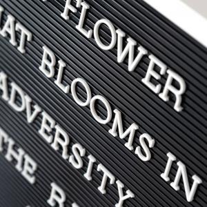 レターボード 文字パーツ付き 幅40cm 長方...の詳細画像5