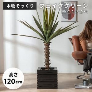 フェイクグリーン アガベ 6号鉢 観葉植物 水や...の商品画像