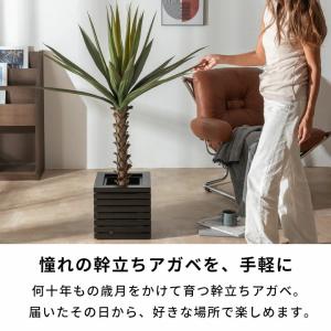 フェイクグリーン アガベ 6号鉢 観葉植物 水...の詳細画像1