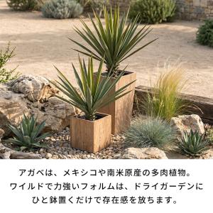フェイクグリーン アガベ 6号鉢 観葉植物 水...の詳細画像2