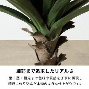 フェイクグリーン アガベ 6号鉢 観葉植物 水...の詳細画像3