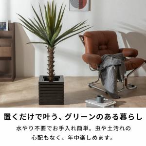フェイクグリーン アガベ 6号鉢 観葉植物 水...の詳細画像4