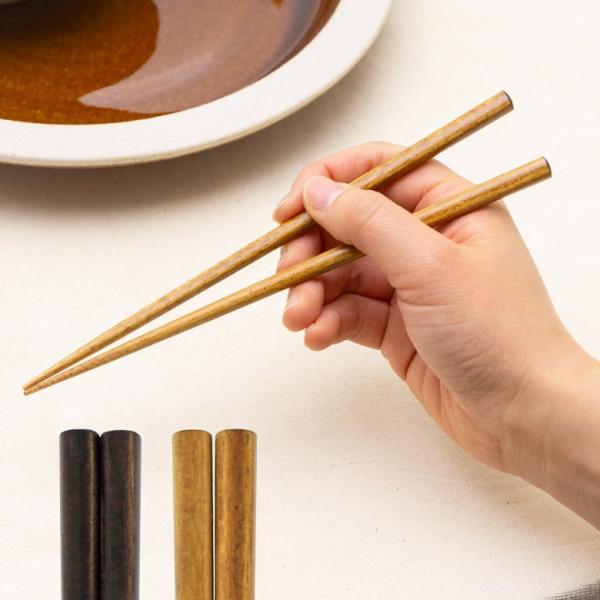 箸 はし 木製 19cm 食洗機対応 コンパクト 天然木 日本製 染箸 食器洗浄機対応 男女兼用 ユ...