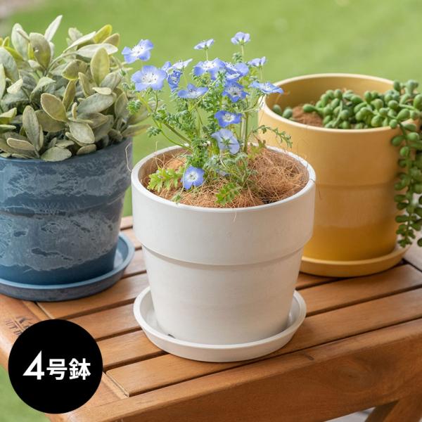 植木鉢 プランツポット 4号鉢 プラスチック 無地 受け皿付き 底穴あり 直径13.5cm 鉢 プラ...