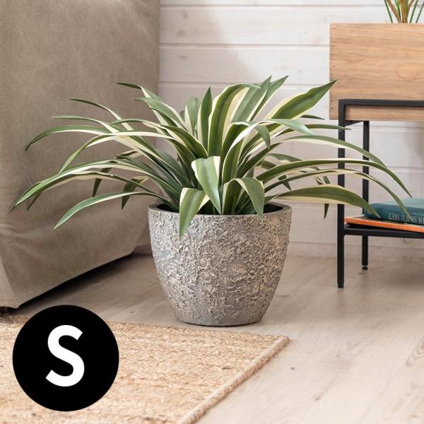 プランター ストーン風 直径約25cm 高さ約20cm グレー 酸化マグネシウム 鉢 植木鉢 底穴付...