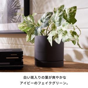 フェイク グリーン アイビー ヘデラ 班入り ...の詳細画像1