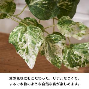 フェイク グリーン アイビー ヘデラ 班入り ...の詳細画像2