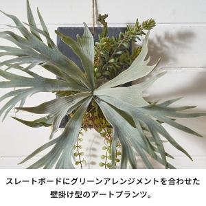 フェイク グリーン ウォール ハンギング ビカ...の詳細画像2