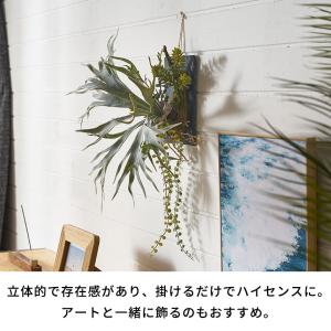 フェイク グリーン ウォール ハンギング ビカ...の詳細画像3