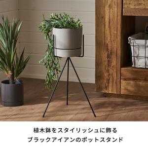 プランター スタンド フォーク型 アイアン 鉄...の詳細画像1