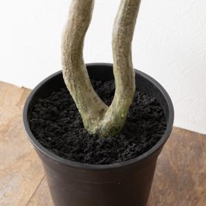 フェイクグリーン パームツリー パキラ 寄せ植...の詳細画像4