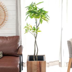 フェイクグリーン パームツリー パキラ 寄せ植...の詳細画像5