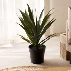 フェイク グリーン アガベ 高さ 70cm 人工...の商品画像