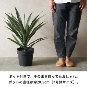 フェイク グリーン アガベ 高さ 70cm 人...の詳細画像4