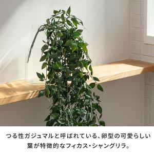 フェイク グリーン フィカス 観葉 植物 アー...の詳細画像3