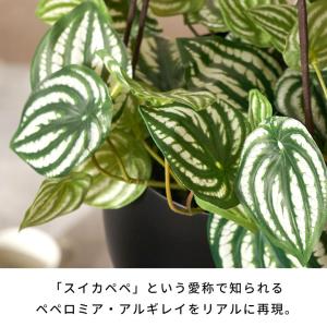 フェイクグリーン ハンギング 人工 観葉植物 ...の詳細画像2