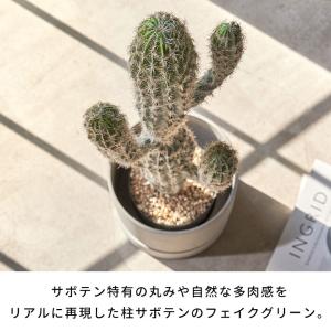 フェイクグリーン サボテン 人工 観葉植物 イ...の詳細画像1