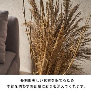 ドライフラワー 花束 フラワーアレンジメント ...の詳細画像4