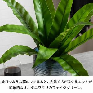 フェイクグリーン 観葉植物 枯れない 水やり不...の詳細画像1