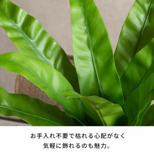 フェイクグリーン 観葉植物 枯れない 水やり不...の詳細画像4