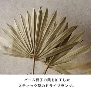 ドライ フラワー ファン パーム リーフ ヤシ...の詳細画像1