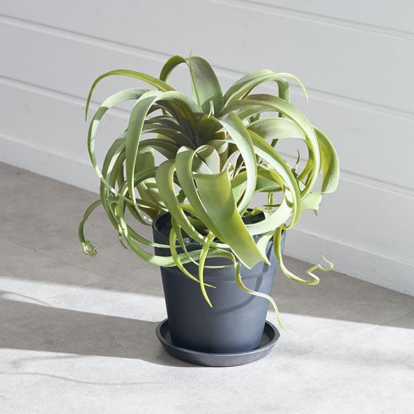 フェイク グリーン チランジア キセログラフィカ 高さ 30cm 人工 観葉 植物 エア プランツ ...