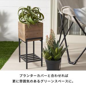 フェイク グリーン チランジア キセログラフィ...の詳細画像3
