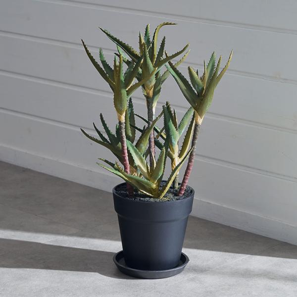 フェイク グリーン キダチ アロエ 高さ 42cm 人工 観葉 植物 多肉 プランツ オブジェ 造花...