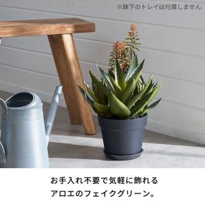 フェイク グリーン アロエ 高さ 42cm 人...の詳細画像1
