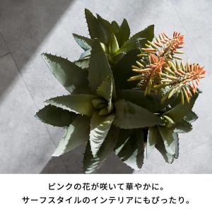 フェイク グリーン アロエ 高さ 42cm 人...の詳細画像2