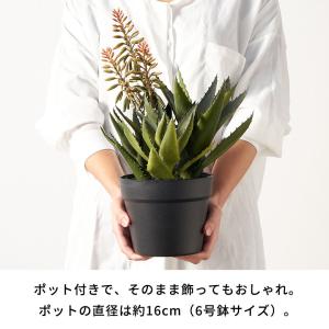 フェイク グリーン アロエ 高さ 42cm 人...の詳細画像4