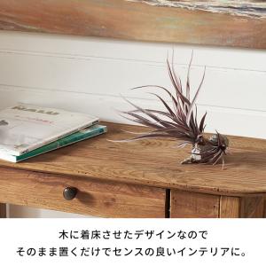 フェイク グリーン チランジア 造花 観葉 植...の詳細画像3