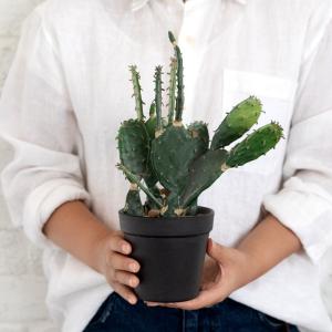 フェイクグリーン サボテン 造花 観葉植物 イ...の詳細画像2