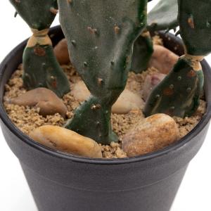 フェイクグリーン サボテン 造花 観葉植物 イ...の詳細画像5
