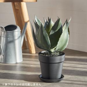 フェイク グリーン アガベ 高さ 32cm 観...の詳細画像1
