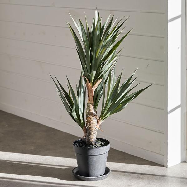 フェイク グリーン アガベ 高さ 58cm 観葉 植物 アーティフィシャル プランツ リュウゼツラン...