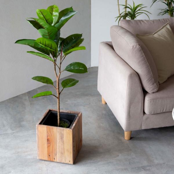 フェイクグリーン ゴムの木 鉢付き 観葉植物 グリーン アーティフィシャルプランツ フェイクプランツ...