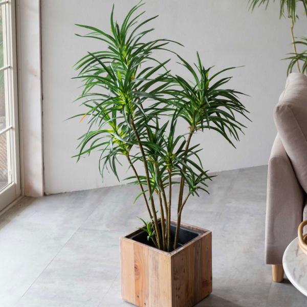 フェイクグリーン ユッカ 鉢付き 観葉植物 グリーン アーティフィシャルプランツ フェイクプランツ ...