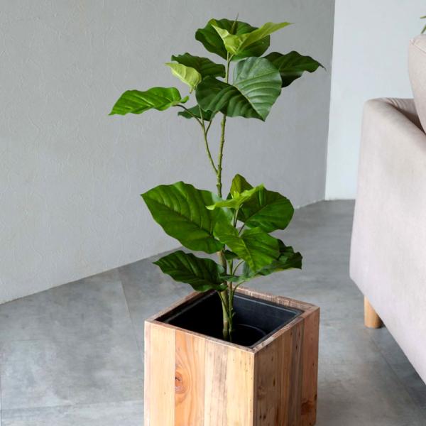 フェイクグリーン フィカス ウンベラータ 鉢付 観葉植物 グリーン アーティフィシャルプランツ フェ...