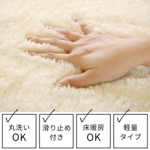 ラグ マット 洗える カーペット マイクロファ...の詳細画像2