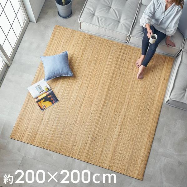 ラタンカーペット 籐むしろ ラタン 籐 カーペット ラグ 3畳 夏 夏用 ラグマット 春 裏地付き ...