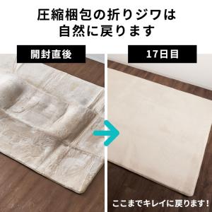 ラグ 高反発 厚手 ラグマット ホットカーペッ...の詳細画像2