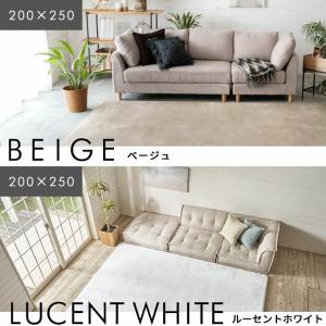 ラグ 高反発 厚手 ラグマット ホットカーペッ...の詳細画像4