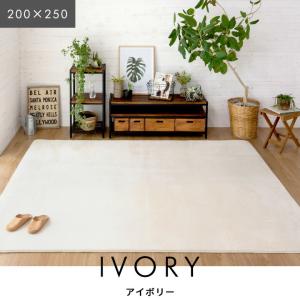 ラグ 高反発 厚手 ラグマット ホットカーペッ...の詳細画像3